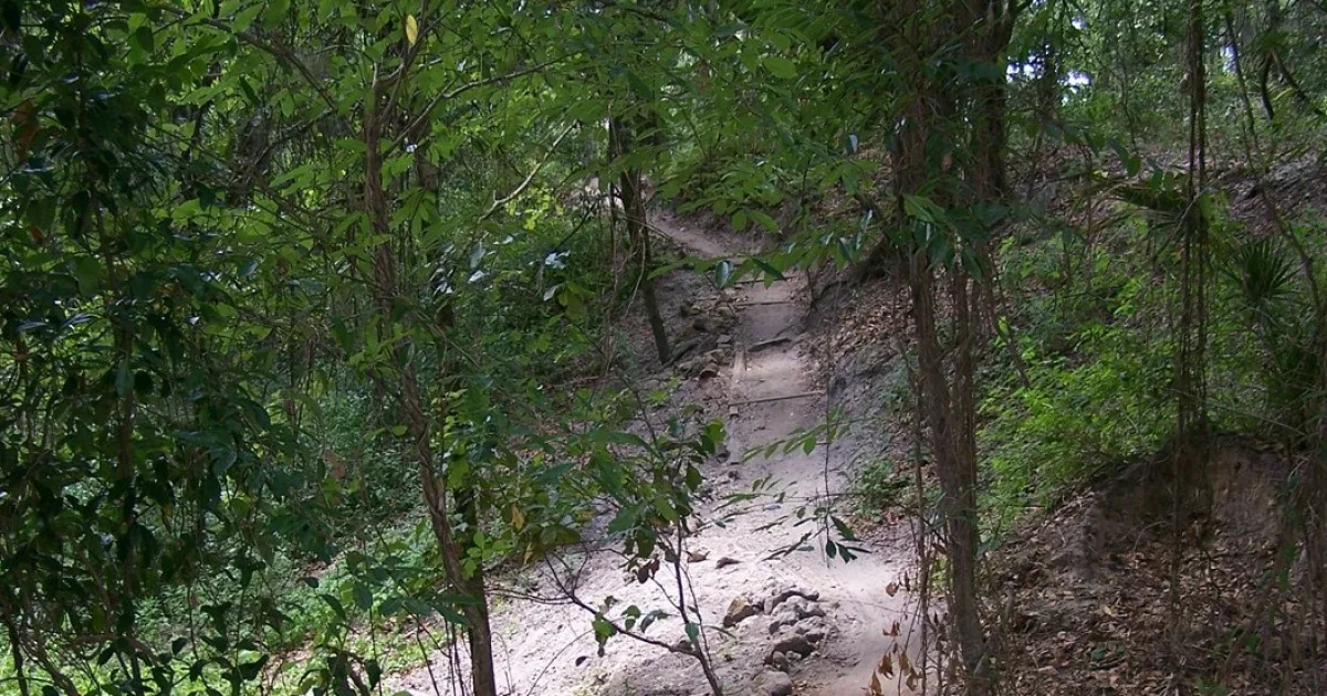 Alafia River State Park MTB — Lithia, Florida
