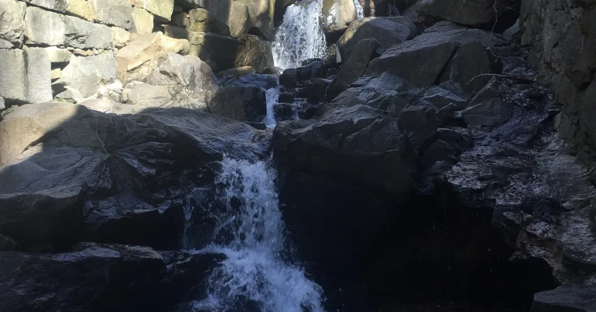 Alapocas Run State Park Trail — Wilmington, Delaware