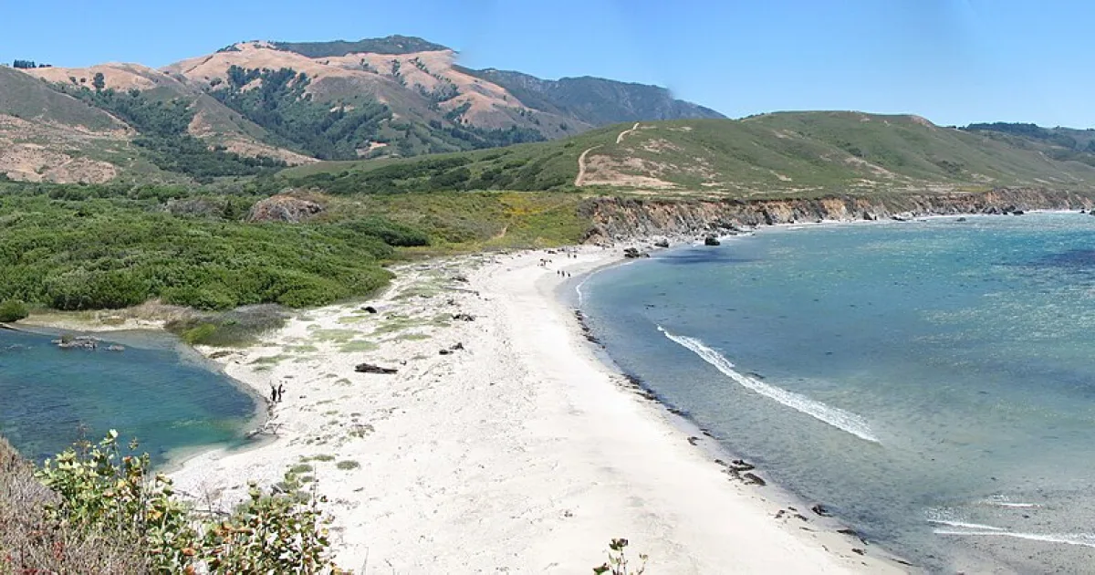 Andrew Molera Loop
