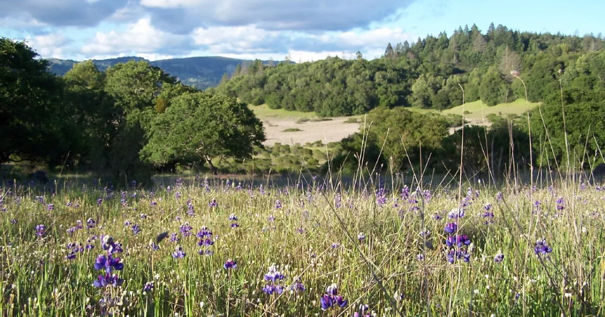 Annadel State Park MTB — Santa Rosa, California