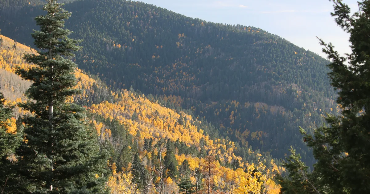 Aspen Vista to Tesuque Peak