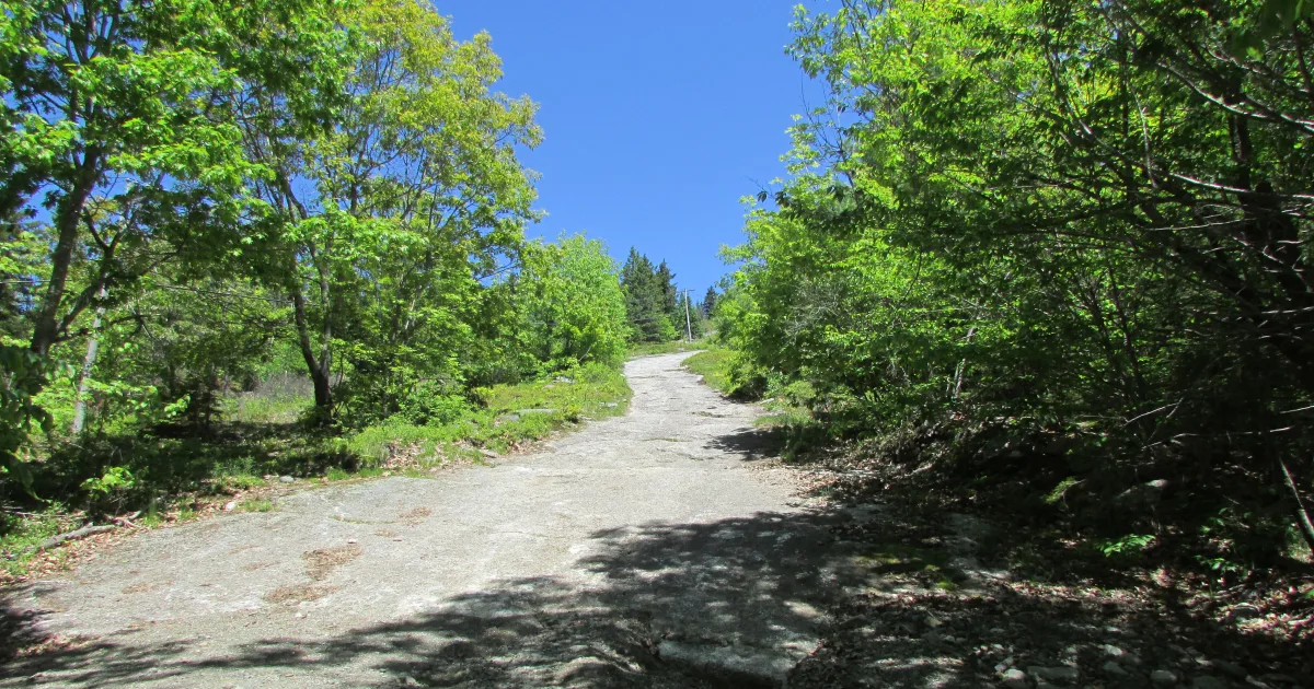 Bald Mountain — Woodford