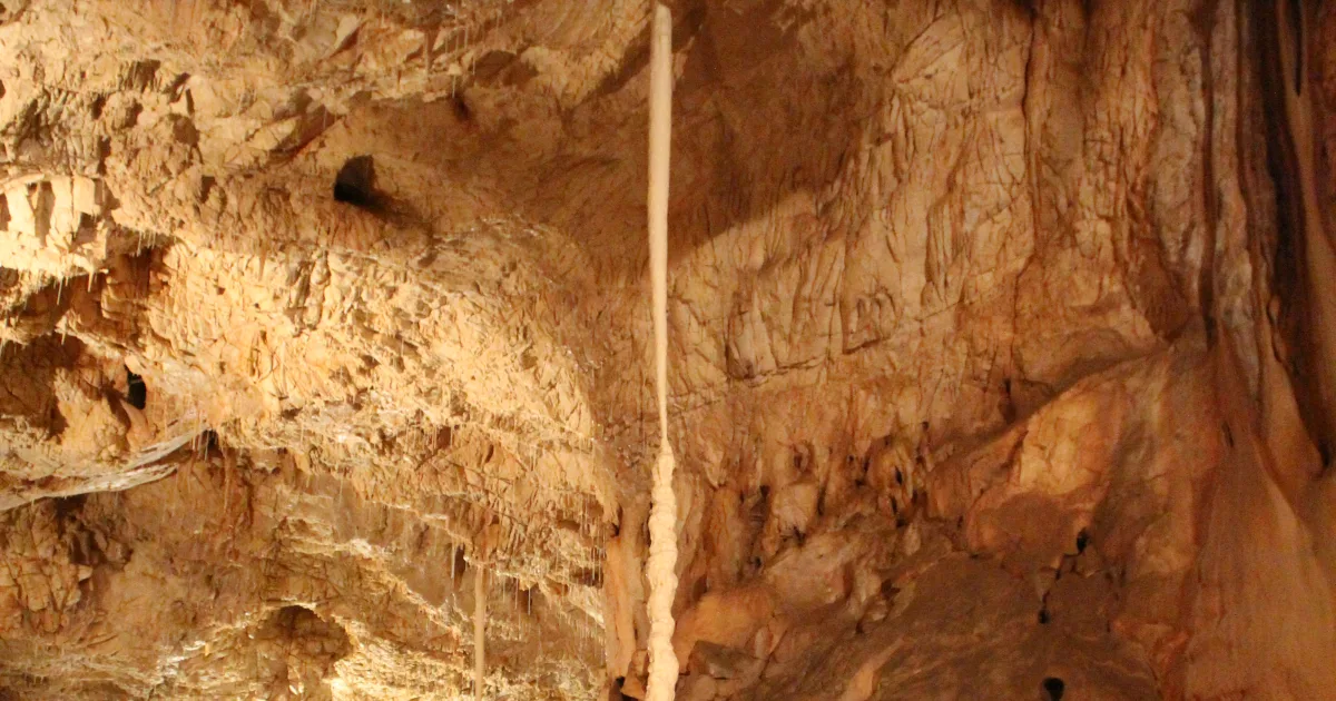 Bear Cave Trail