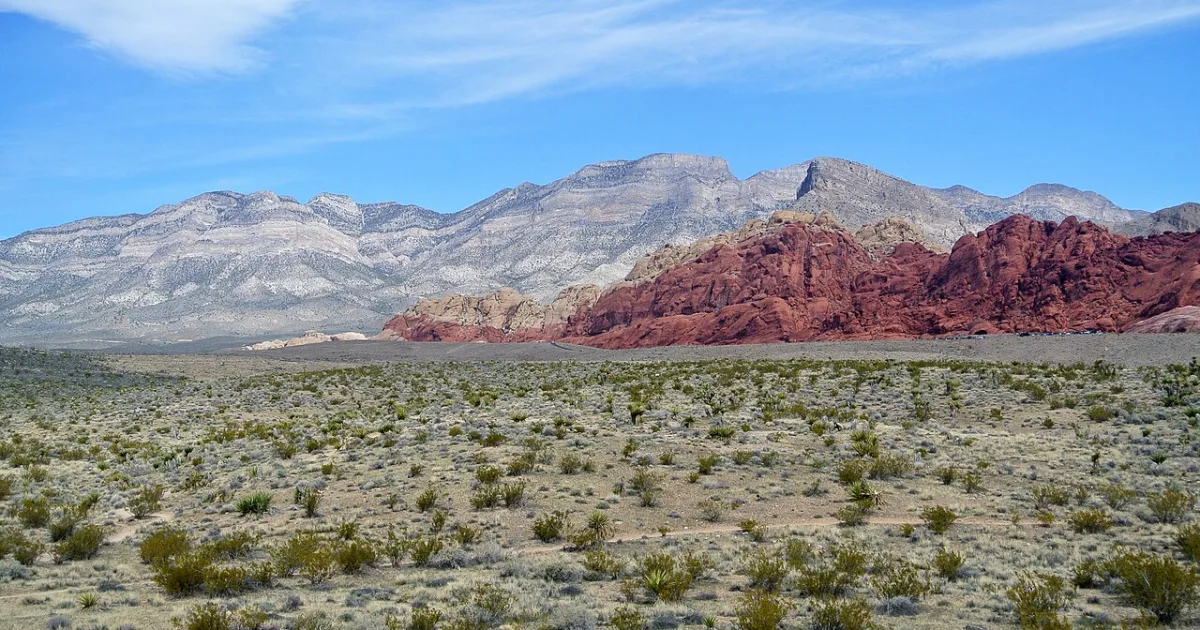 Calico Hills Loop