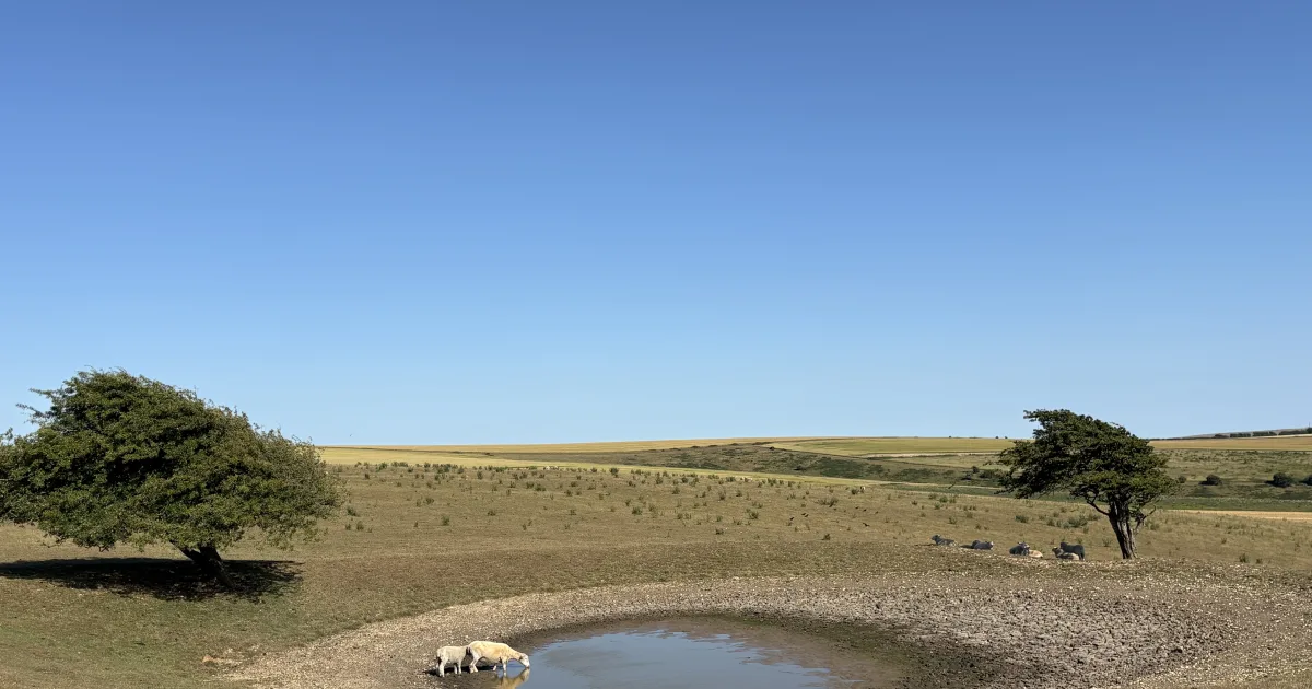 Cape Henlopen Dune Trail — Lewes, Delaware