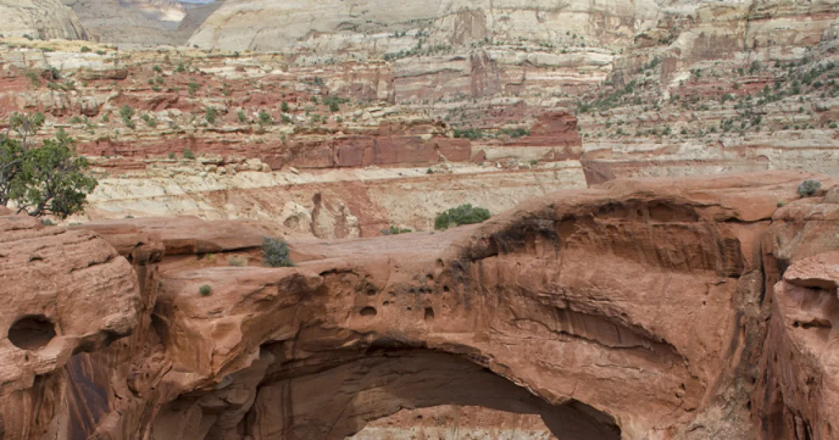 Cassidy Arch Trail
