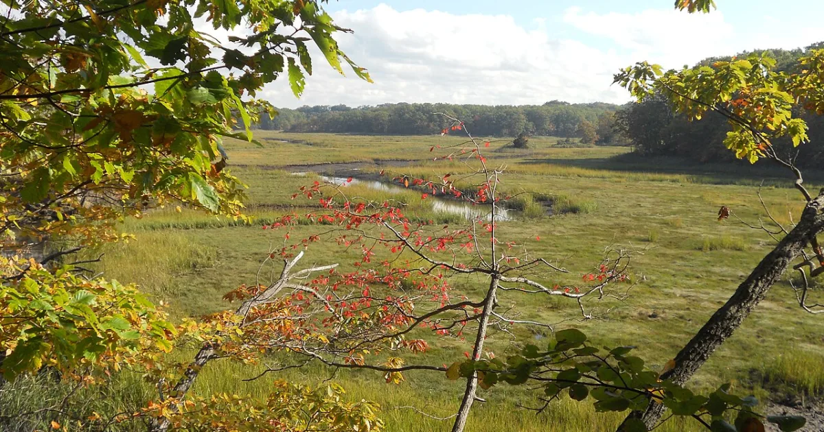 Cheesequake State Park Loop — Matawan, New Jersey