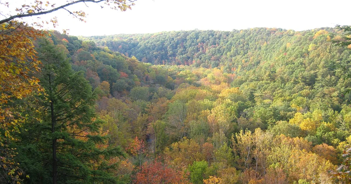 Clear Fork Gorge Loop