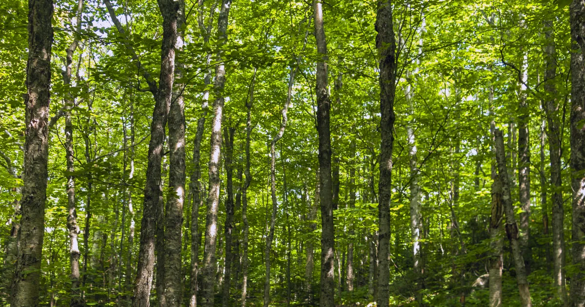 Clinton Prairie Trail