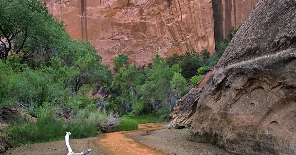 Coyote Gulch: Jacob Hamblin Arch — Escalante, Utah
