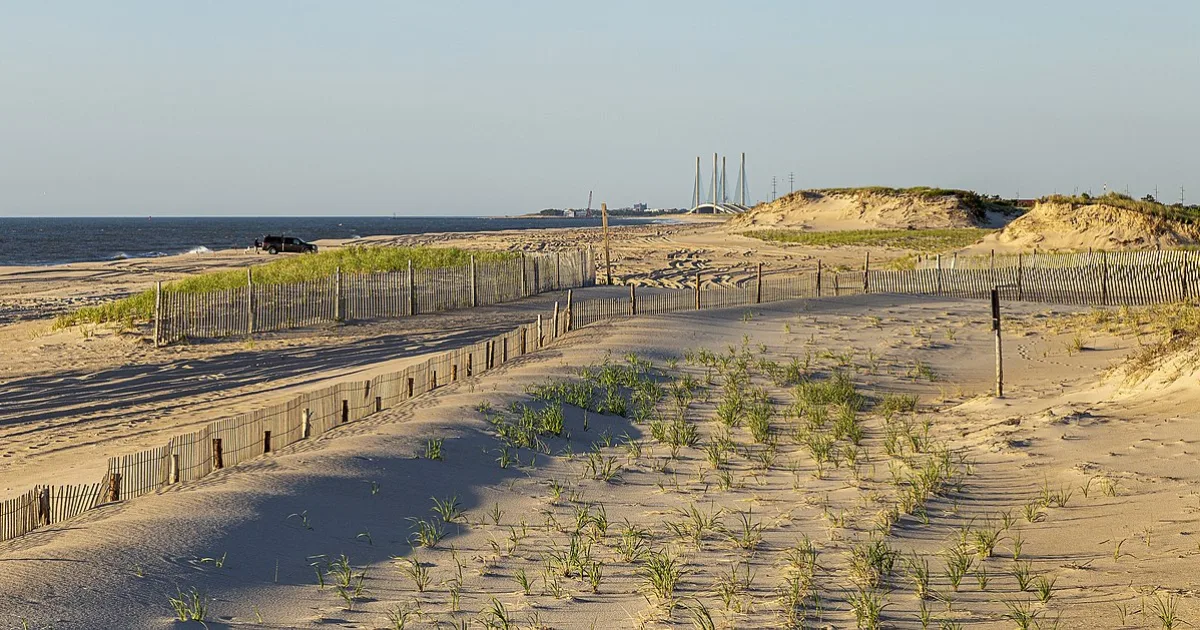 Delaware Seashore State Park Trail — Rehoboth, Delaware