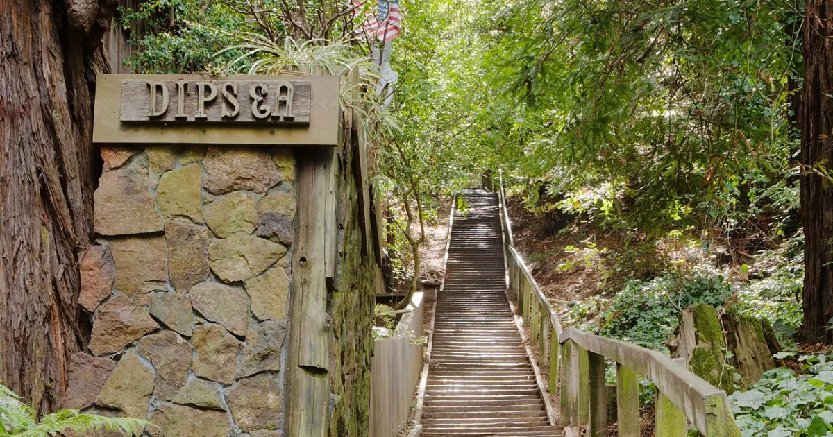 Dipsea Trail