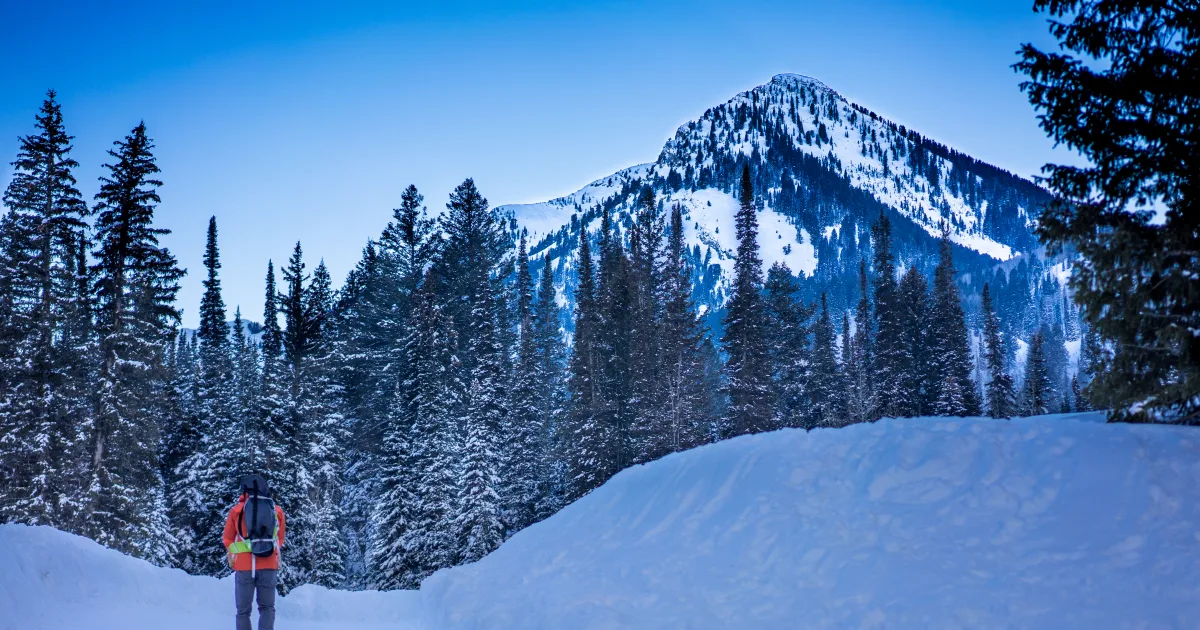 Donut Falls Trail Big Cottonwood