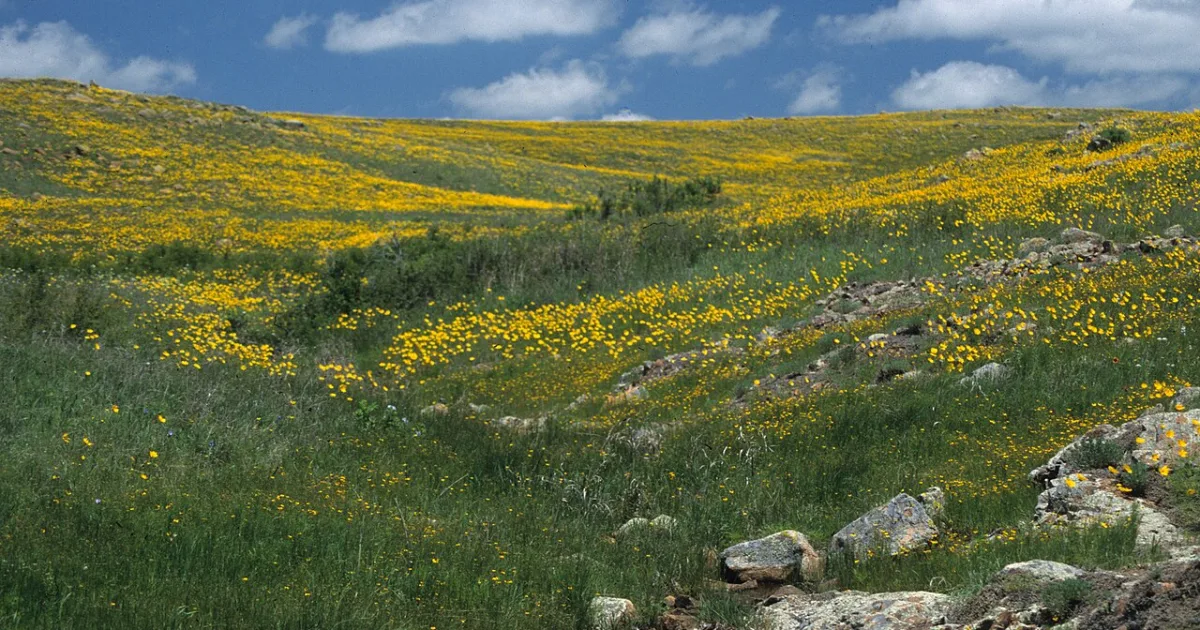 Elk Mountain Trail