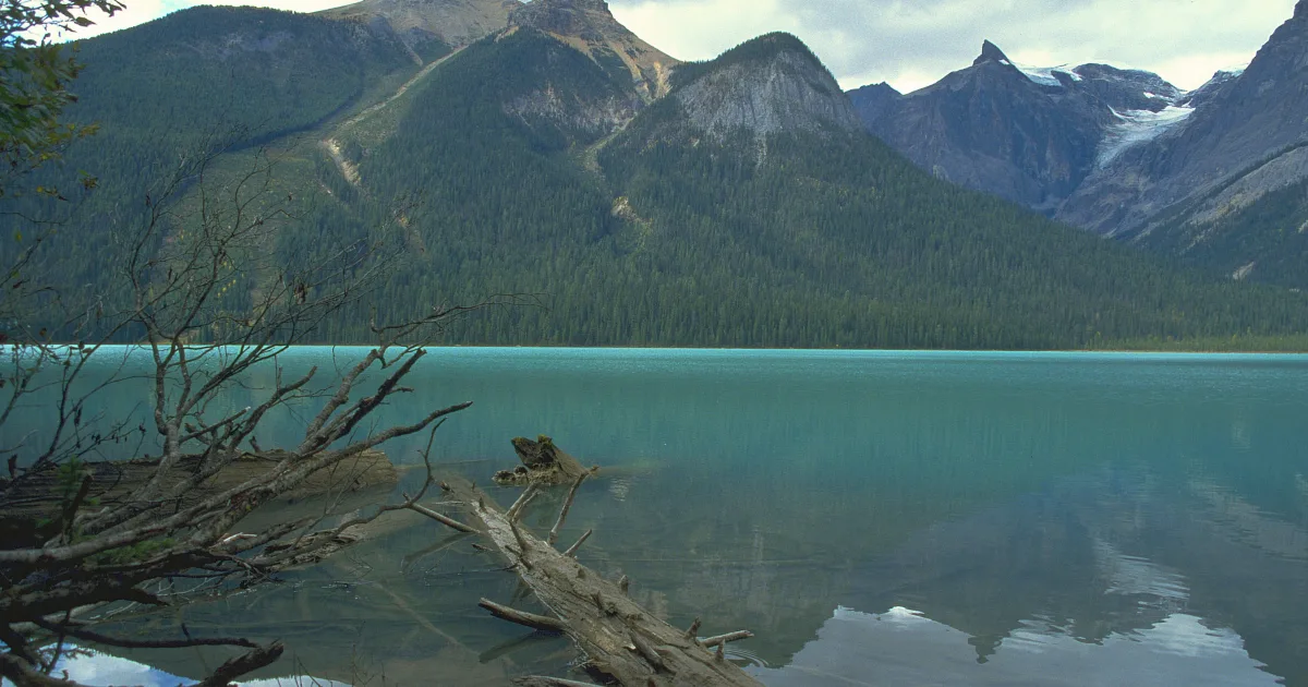 Emerald Lake Trail Montana