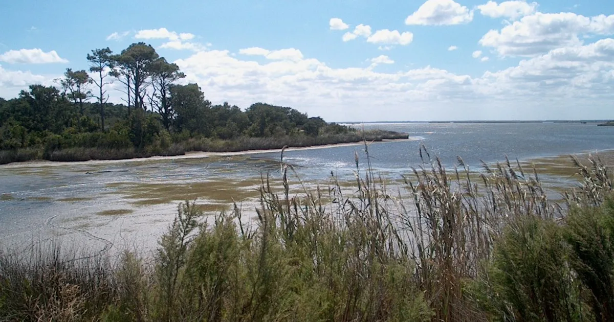 False Cape Trail — False Cape SP, VA
