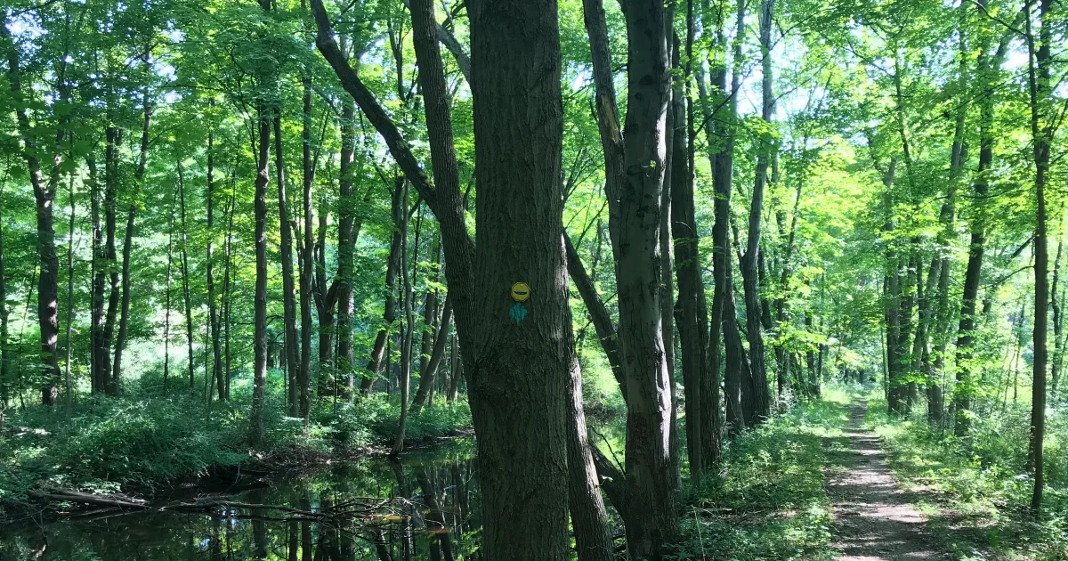 Gebhard Woods Canal Trail