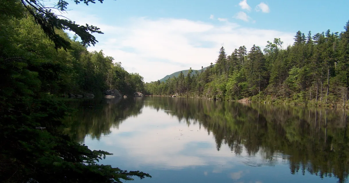 Glen Ellis Falls Trail