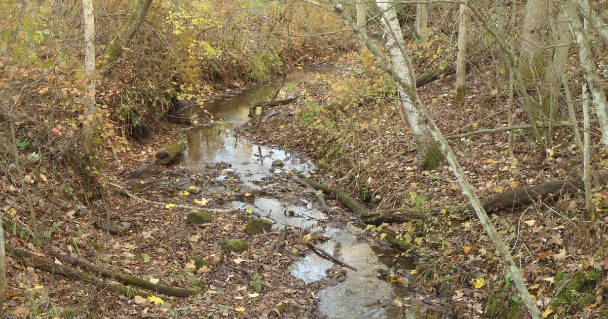 Governor Dodge State Park: Gold Mine Loop MTB — Dodgeville, WI
