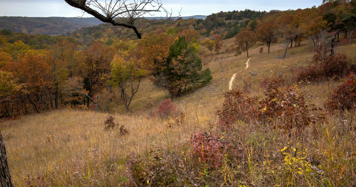 Ha Ha Tonka Spring Trail