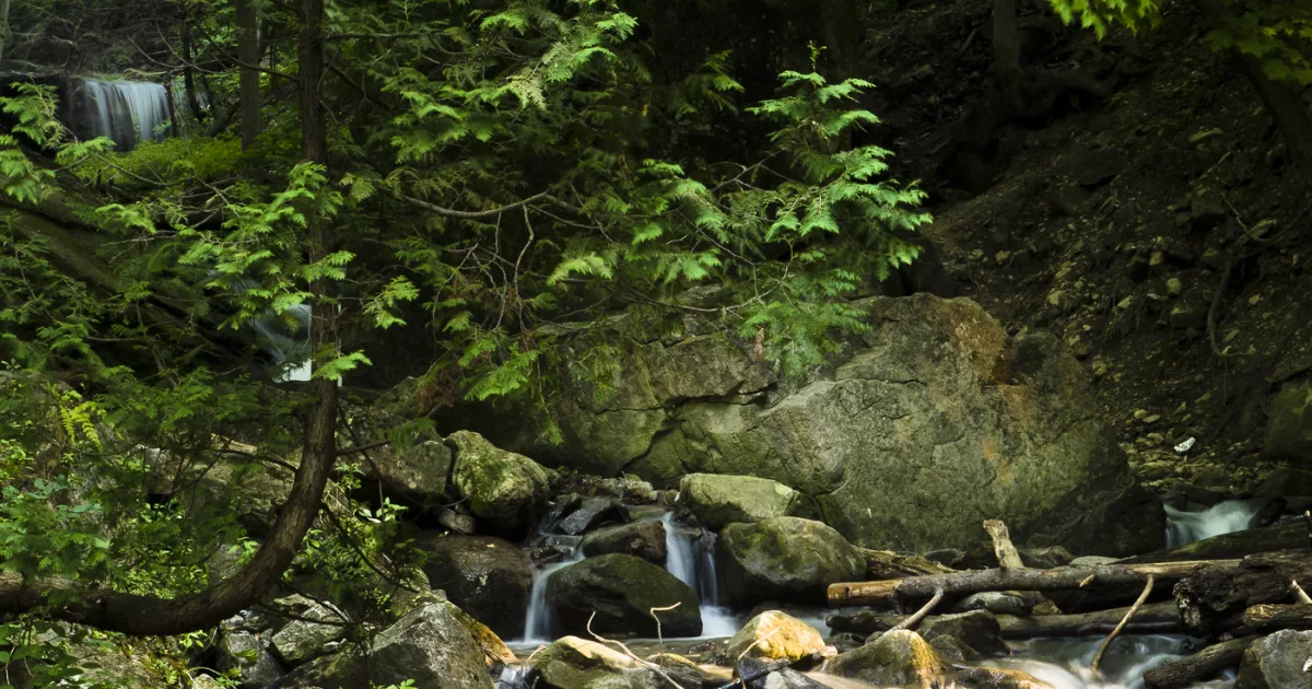 Hamilton Falls Trail