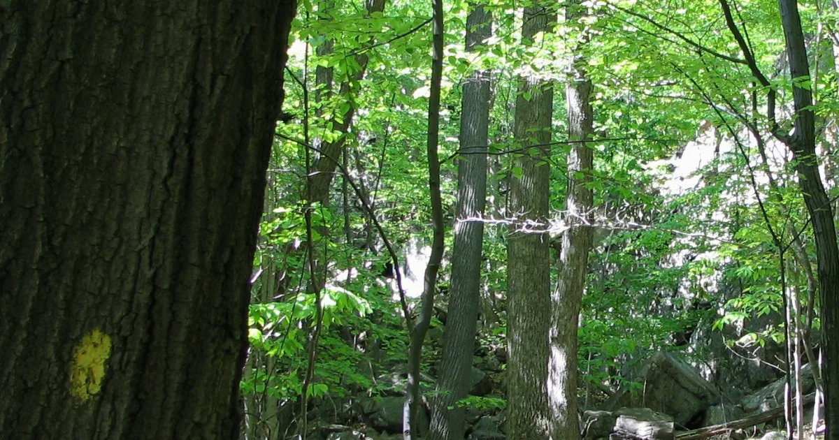 Harriman State Park Rail Trail — Island Park, Idaho