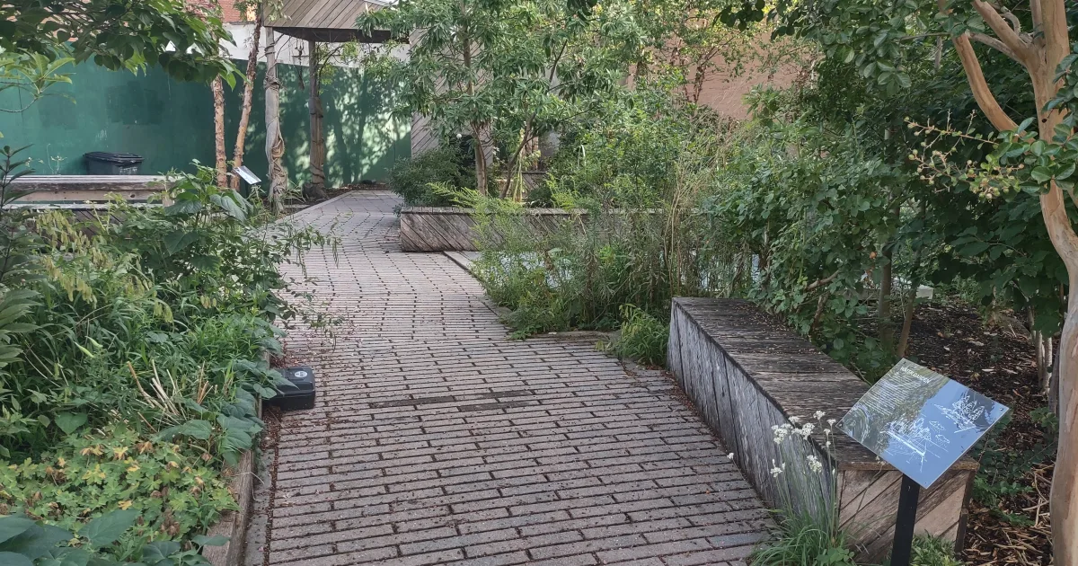 Hodges Gardens Trail — Many, Louisiana