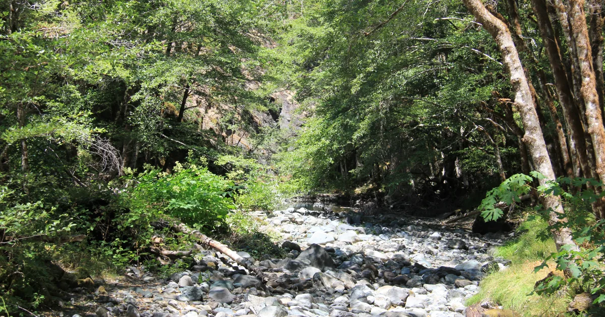 Hunter Creek Canyon Trail