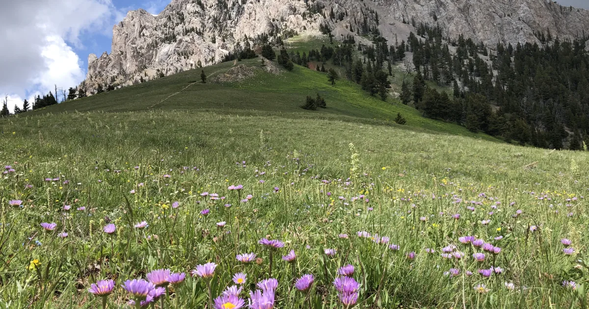 Hyalite Canyon Lake Trail — Bozeman, Montana
