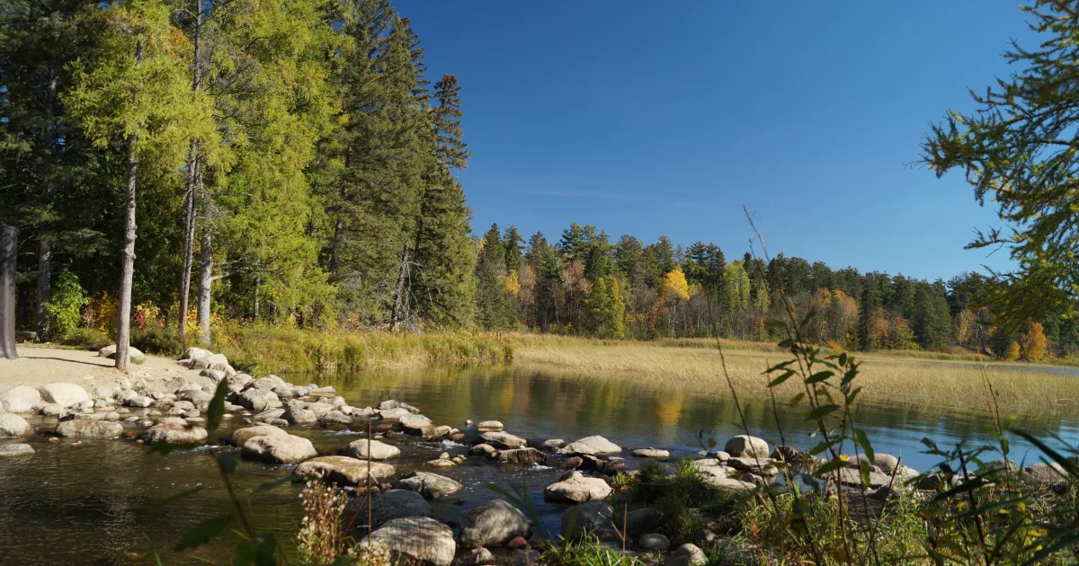 Itasca State Park: Wilderness Drive Trail — Park Rapids, Minnesota