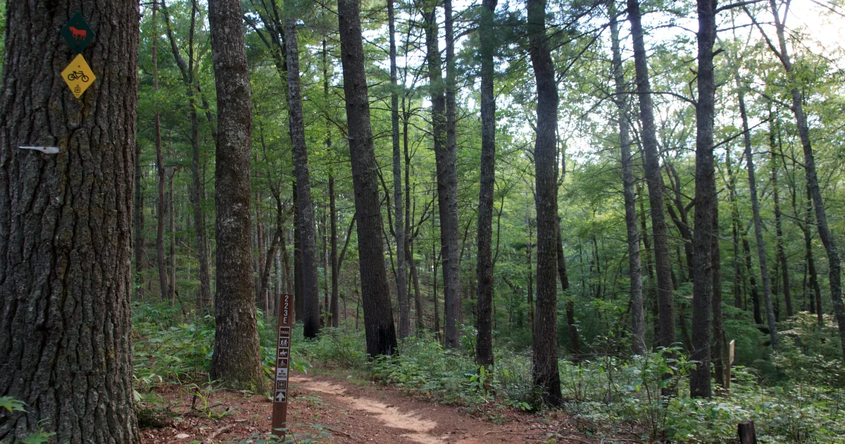 Jones Gap Loop Trail