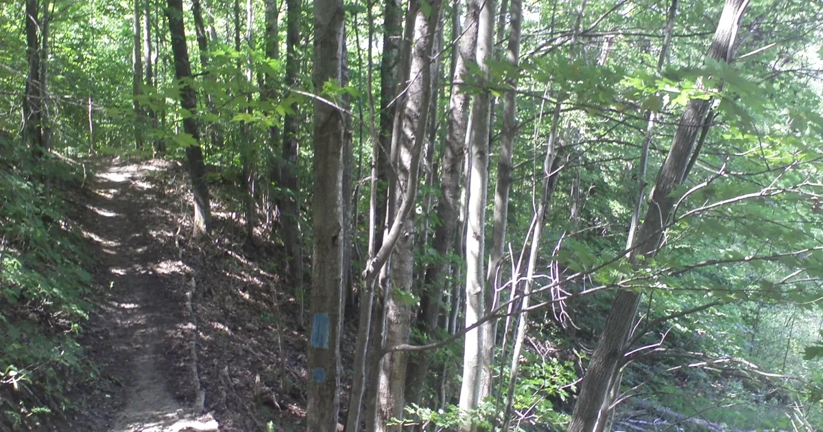 Jordan River Pathway Loop — East Jordan, Michigan
