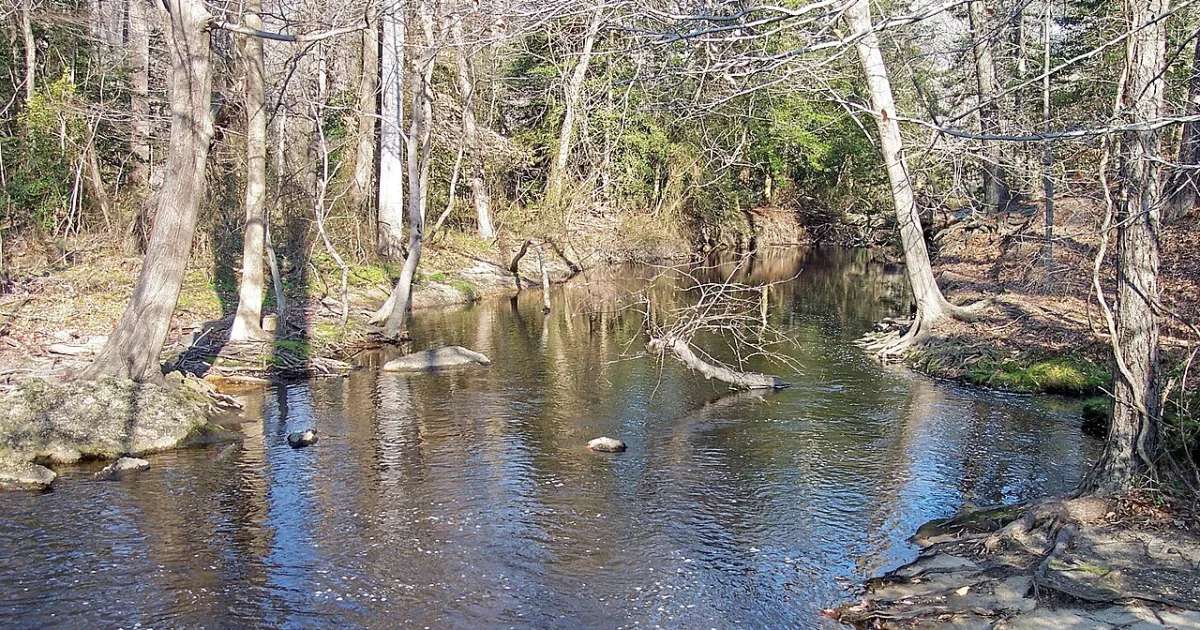 Killens Pond State Park Trail