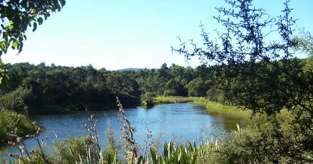 Lake of the Ozarks MTB — Osage Beach, Missouri