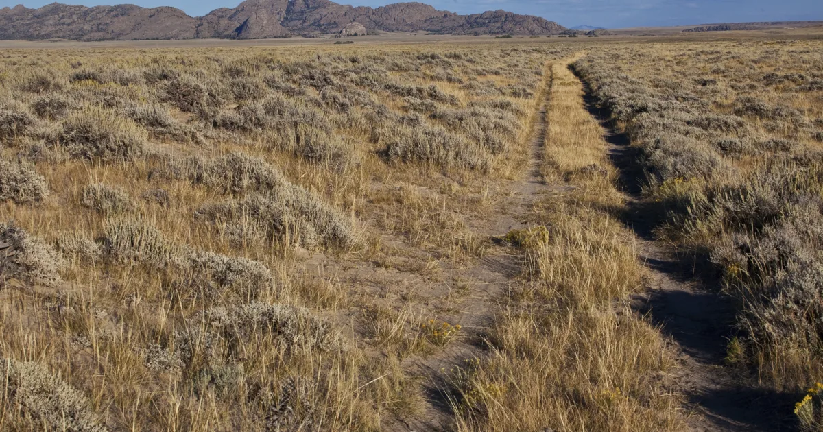 Lander City Park Trails