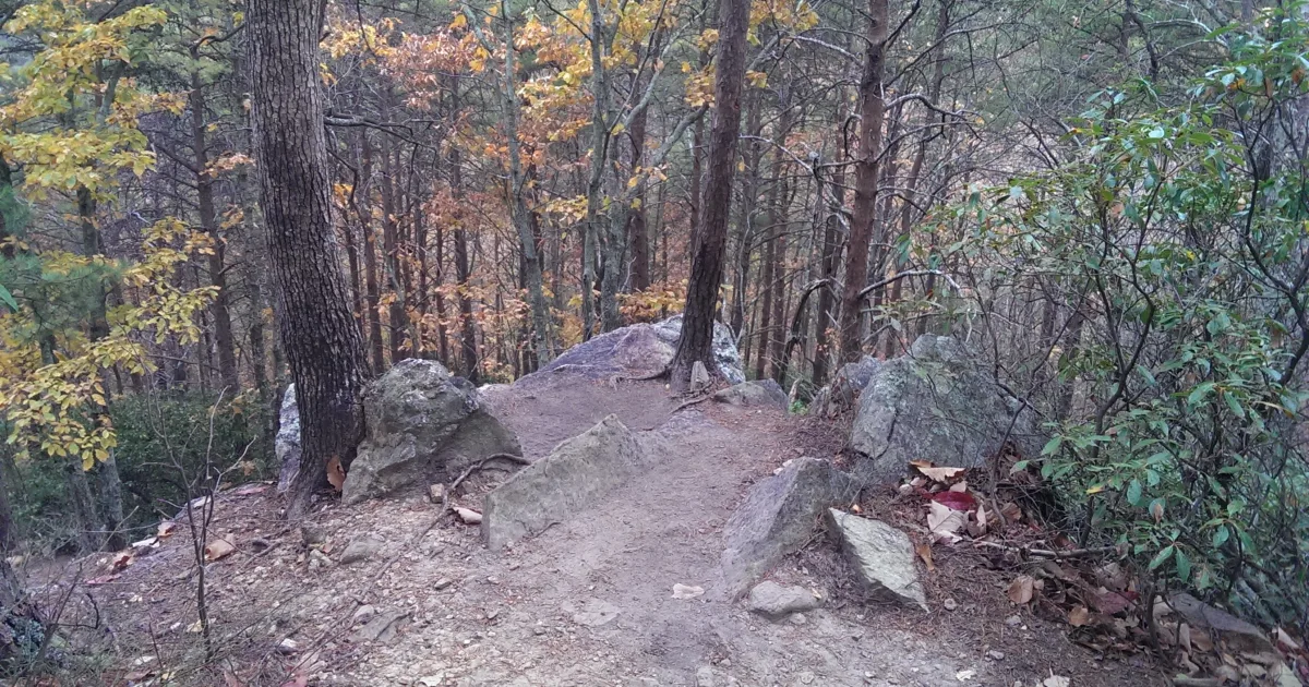 Laurel Fork Wilderness: Camp Five Run — Bartow, West Virginia