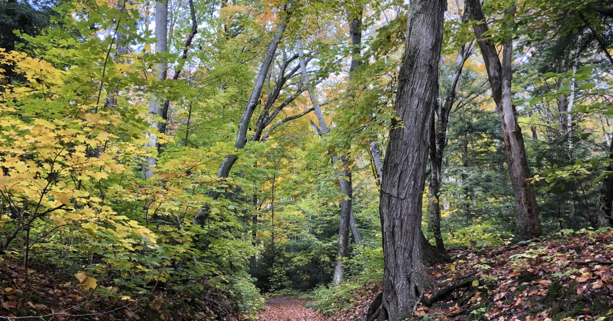 Leelanau Trail MTB — Suttons Bay, Michigan