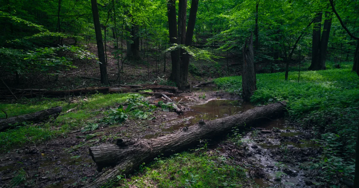 Little Bennett MTB Loop
