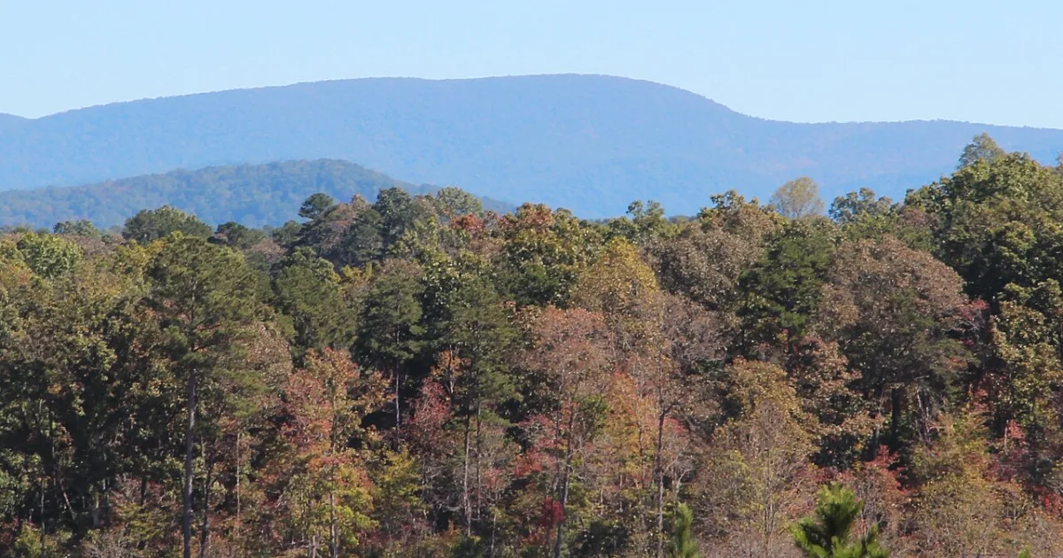 Springer Mountain