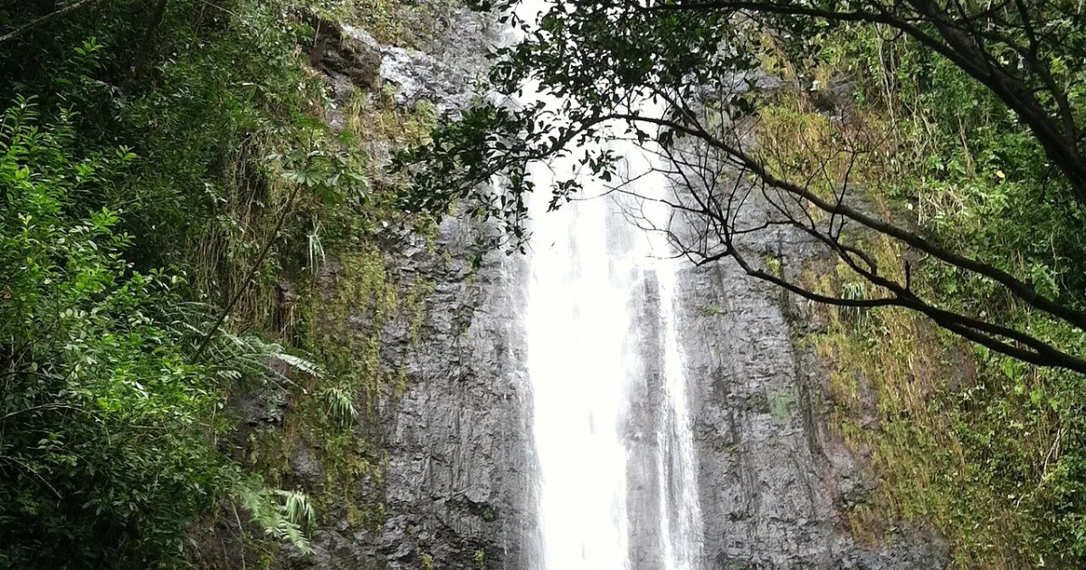 Manoa Falls Trail — Honolulu, Hawaii