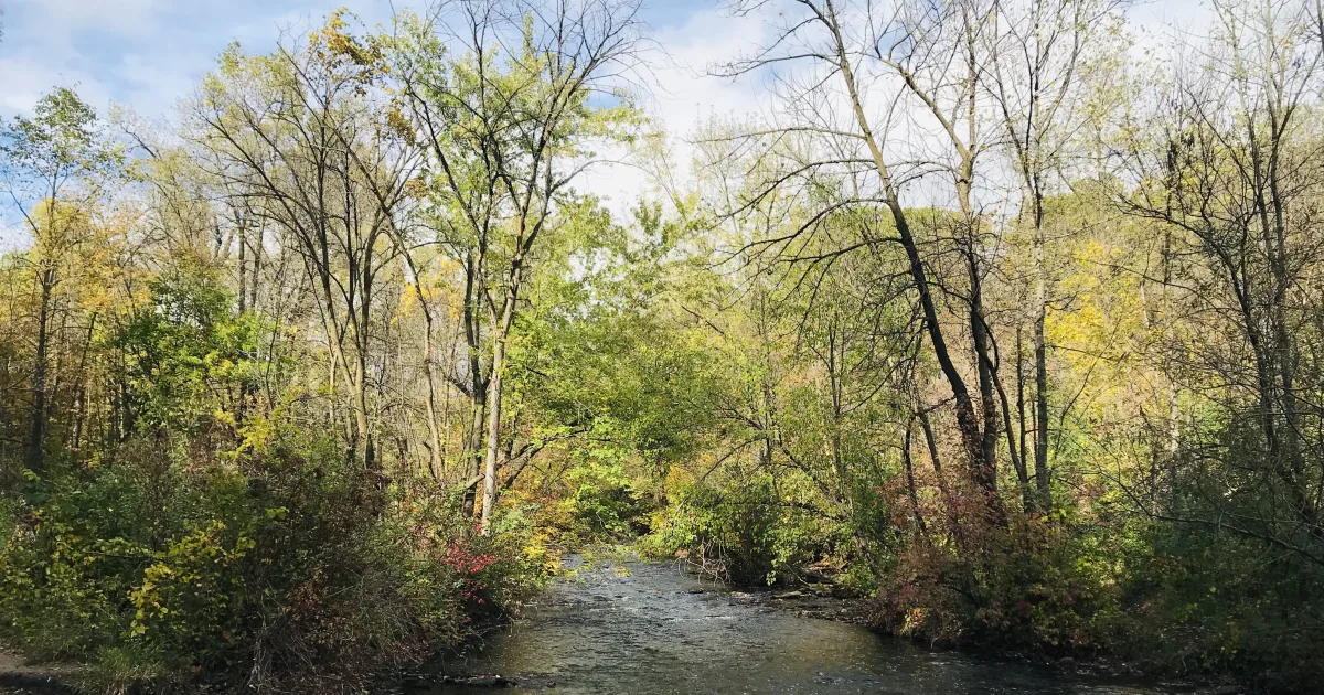 Minnehaha Falls: A Charming Lake Rabun Cascade in Rabun County