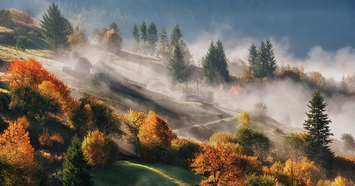 Mist Trail