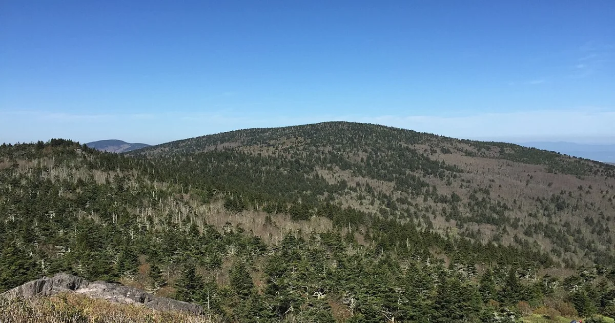 Mount Rogers Trail — Damascus, Virginia