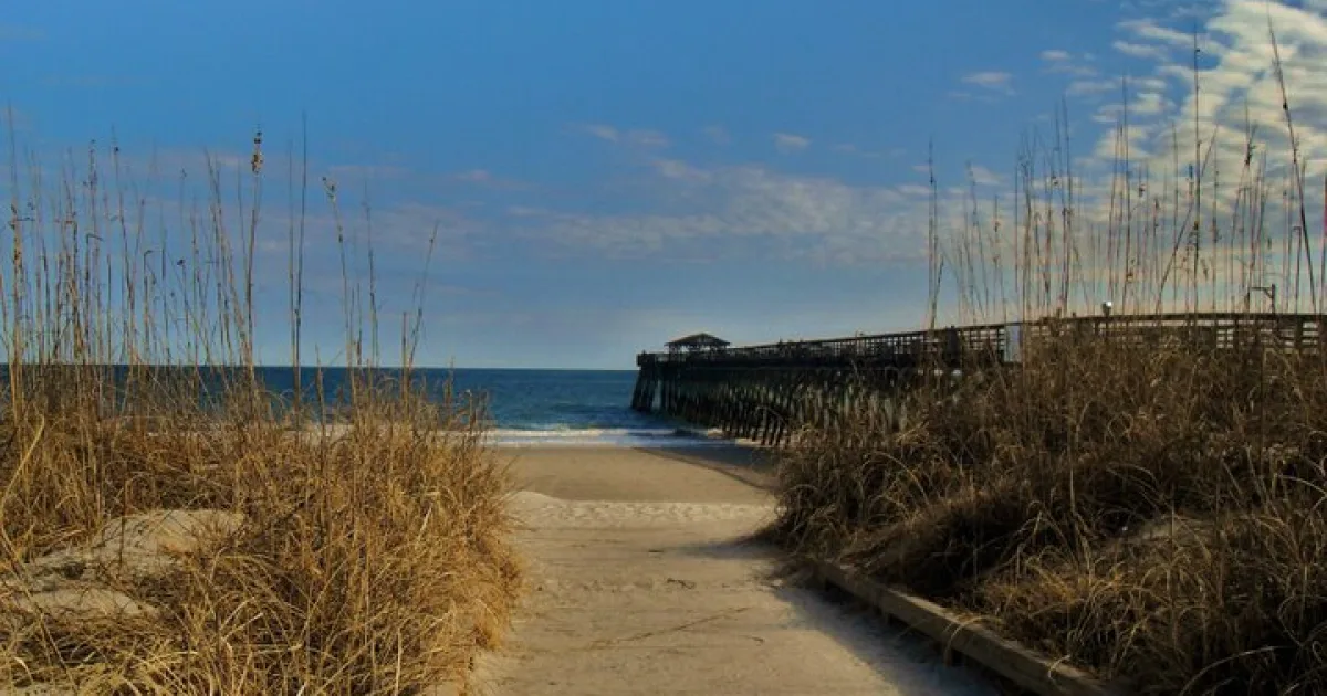 Myrtle Beach State Park Trail — Myrtle Beach State Park, SC