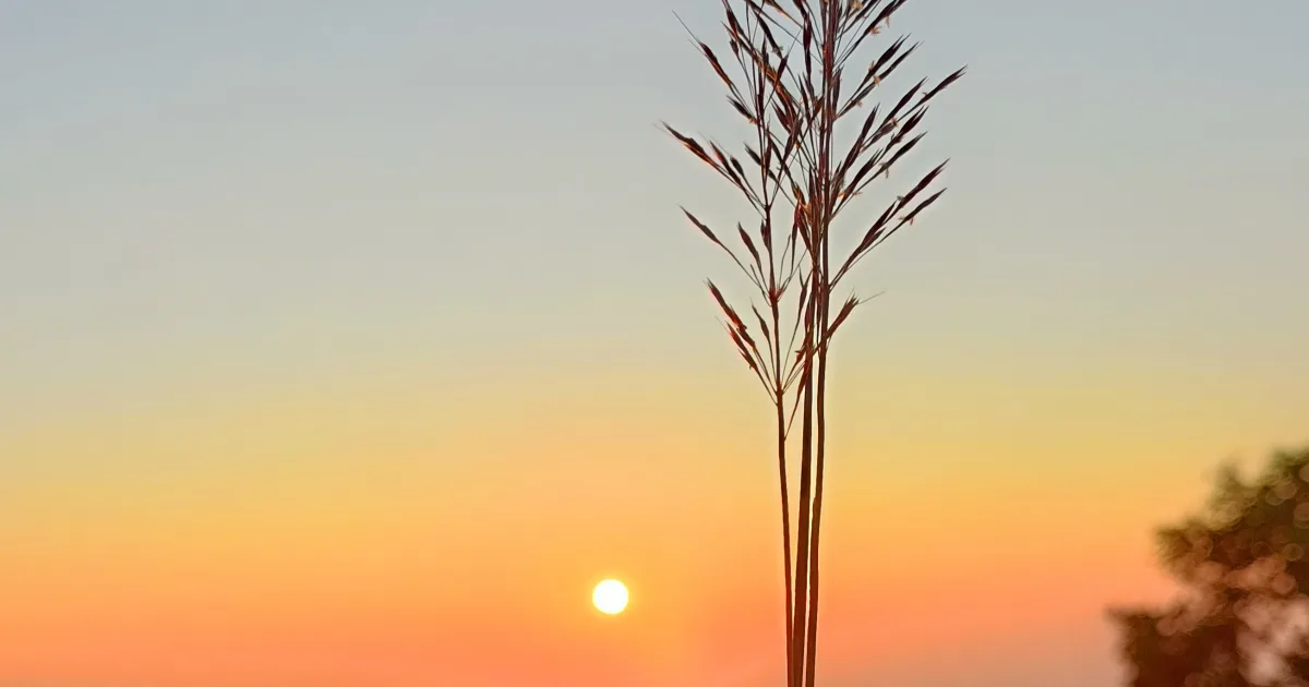Napatree Point Conservation Area — Watch Hill, Rhode Island