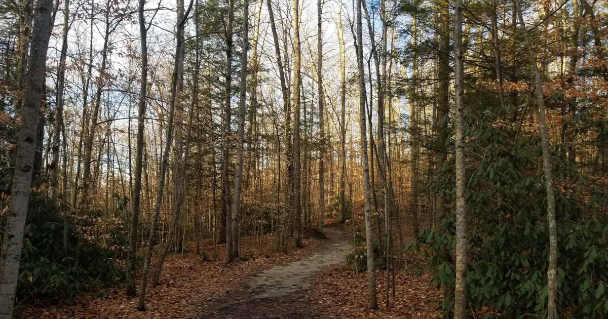 New River Gorge: Long Point Trail — Fayetteville, WV