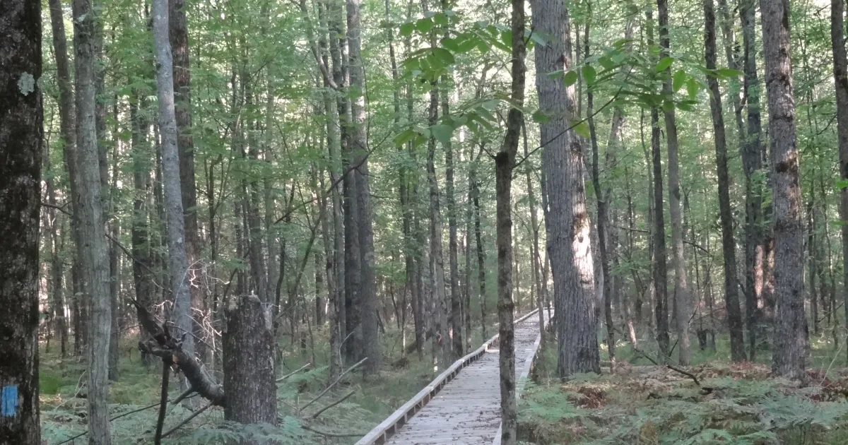 North Country Trail: Pictured Rocks — Munising, Michigan