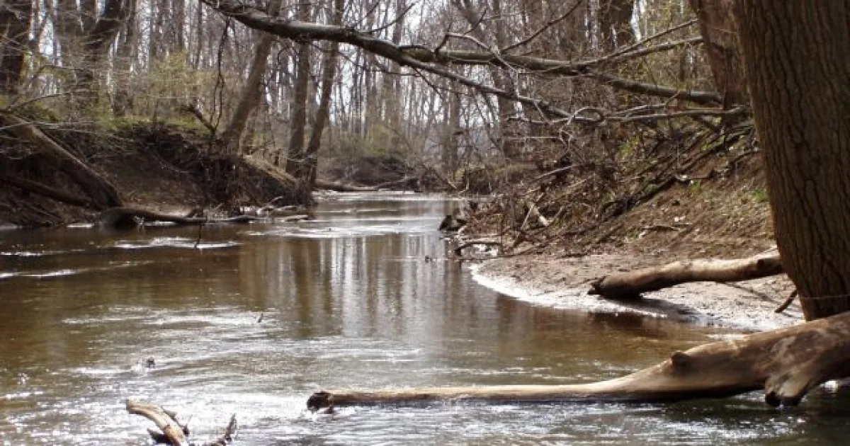 Heron Rookery Trail