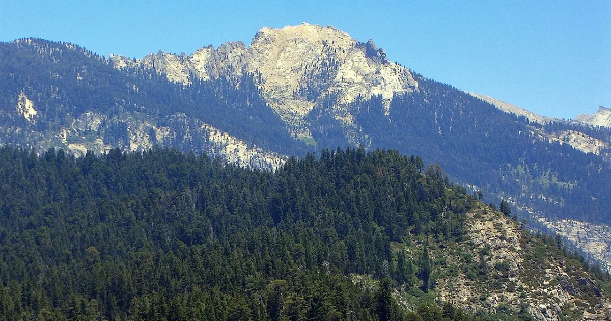 Alta Peak Trail