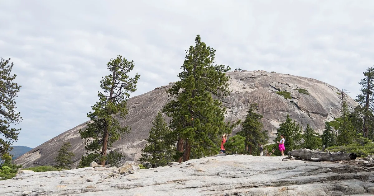 Sentinel Dome Trail